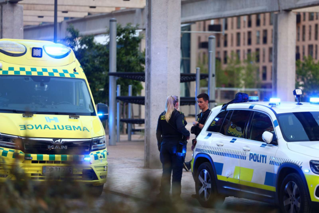 Udgav sig for at være pizzabude: Overfalder kvinde med kniv og økse