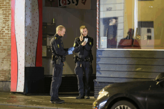 Politi rykker ud og undersøger grundigt: Stukket af