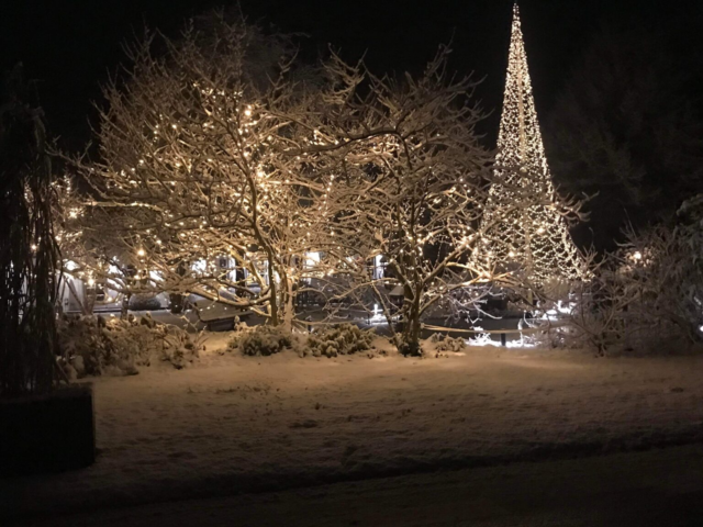 Bliver det en hvid jul i år? Nu melder DMI endelig ud