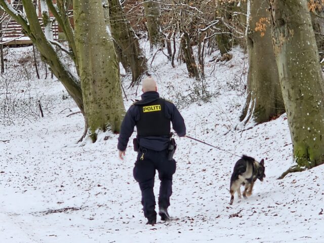 Hundepatruljer og droner ved eftersøgning: Har du set 82-årig?