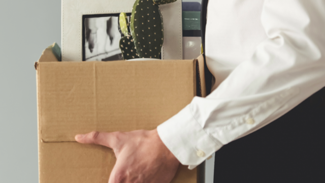 Medie i frit fald: Alle journalister fyret på én gang