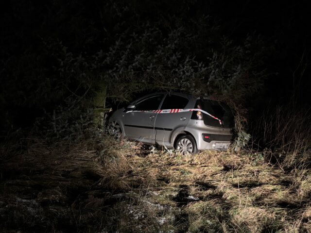 Solouheld: Bil brager ind i et træ