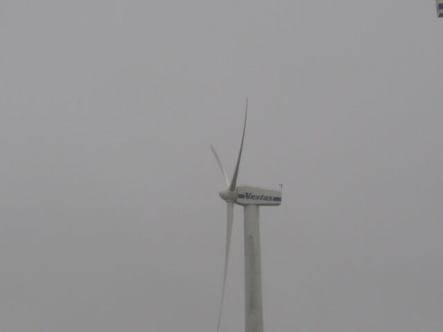 Dansk energiinvestor: Får grønt lys til havvindprojekt i USA