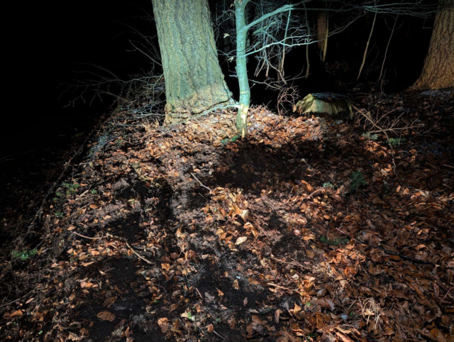 Bil mod træ ved Faaborg