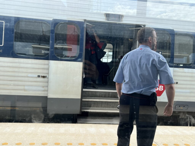 Voldtog 16-årig pige i toget: Nu skal han udvises