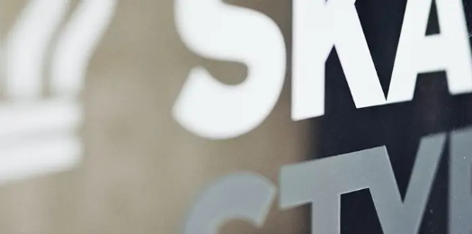 IT-nedbrud hos SKAT: Flere styrelser i store problemer