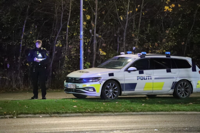 Lille dreng hevet ind i buskads: 36-årig ville ‘have spillet den af’