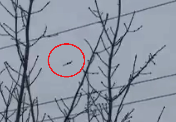 Unikke billeder: Dødsdrone overflyver Presse-fotos.dk og slår få minutter senere ned i passagertog