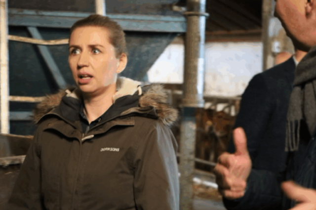 Vild hændelse på Mette Frederiksens fly i Grønland