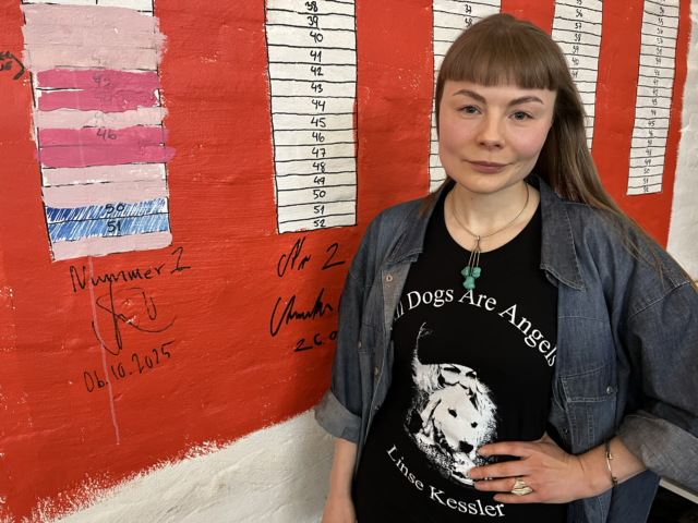 Dogme 25-bevægelsens anden film er på vej