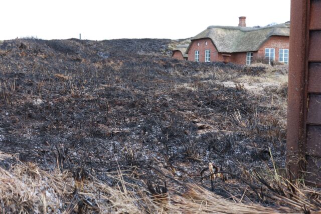 Tysk turist sigtet: Stor brand i populært sommerhusområde