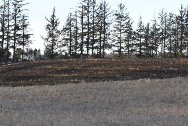 Politi og brandvæsen rykker ud igen: Person skyld i endnu en naturbrand