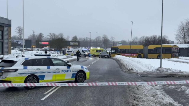 Alvorlig hændelse ved bus: Politi i stor aktion med hunde og afspærring