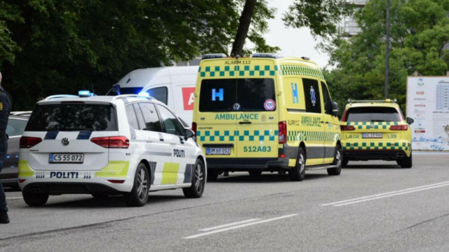 24-årig dømt efter brutalt drab: Stak sin bror til han døde