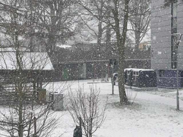 DMI varsler om bidende kulde: Så koldt bliver det