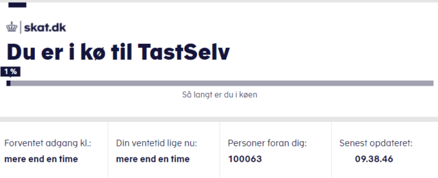 Skal du have penge tilbage i skat? Sådan tjekker du allerede nu