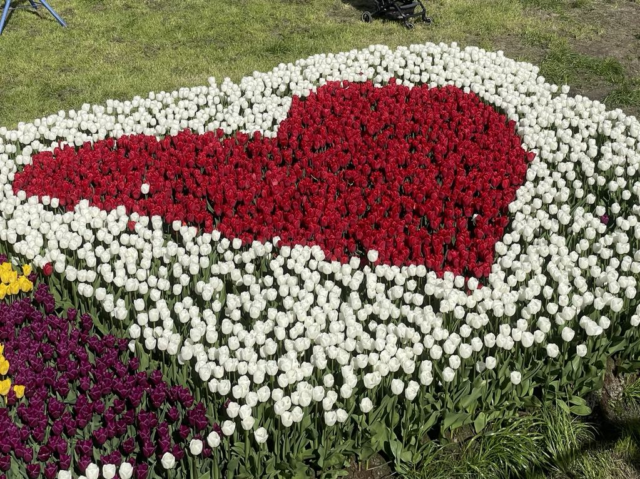 DR-vært afslører utroskab: ’Mit hjerte går i tusind stykker’