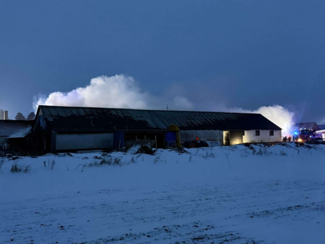 Massiv brand raserer bygning: Kæmpe røgsky breder sig over området