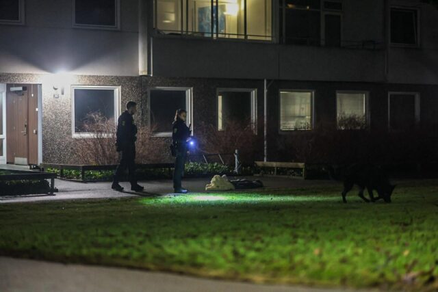 Hopper ud fra femte sal: Blodig selvmordssag