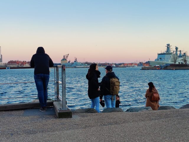 Den Lille Havfrue iført grisemaske og skilt med budskab