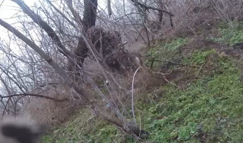 Dansk soldat på fronten i Ukraine: Det siger min mor til det