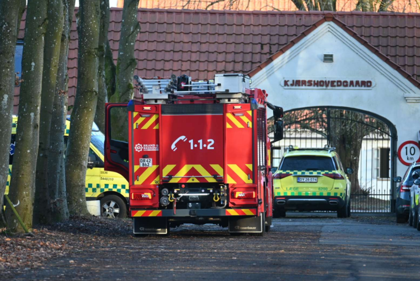 Bombe: Så mange danskere vil sende kriminelle muslimske indvandrere ud af Danmark