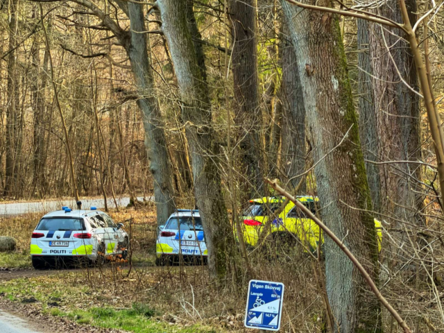 13-årig kastede sig ud af kørende tog: Kommet alvorligt til skade