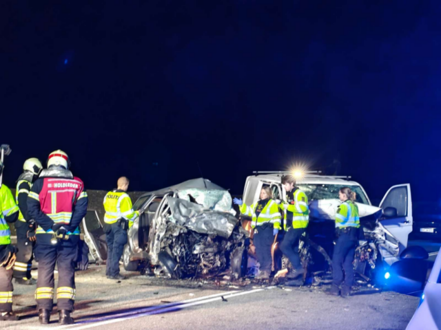 Flere dødsulykker på dansk motorvej: Dybt bekymret