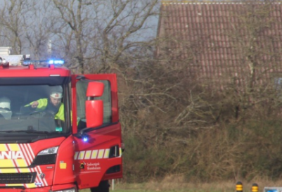 Lille pige gør uhyggeligt fund: Mærkeligt dyr ligger død inde i busken