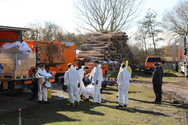 Kæmpe udbrud af fugleinfluenza: Masseaflivning