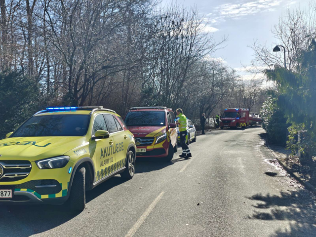 Stor udrykning til sø: Kvinde i livsfare