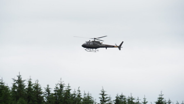 Teenagedreng forsvundet: Beder offentligheden om hjælp