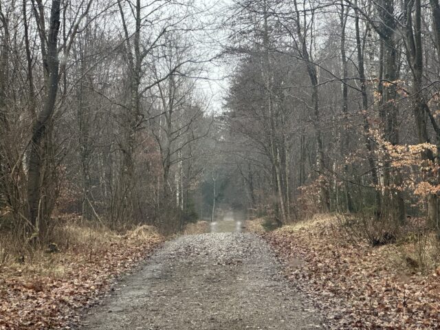 Har DU set noget? – Politiet i akut appel efter fund i skovområde