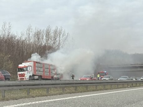 Dramatiske scener på motorvej lige nu: Dyretransport i brand
