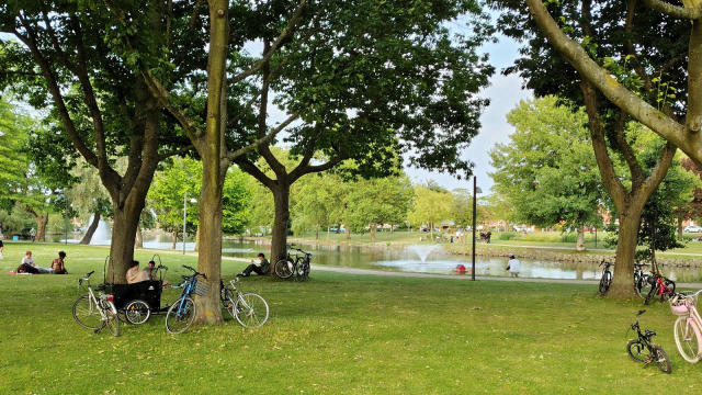 Vanvittig tragedie: Syv-årig og mor dør i park