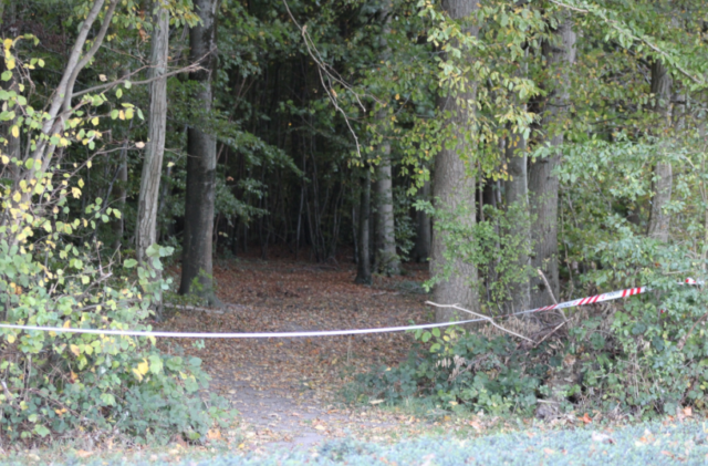 Rørende reaktion: Tre tilfældige unge dræbt