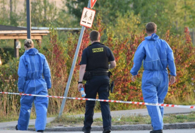 Hopper op på teenagedrengs ryg og dræber ham