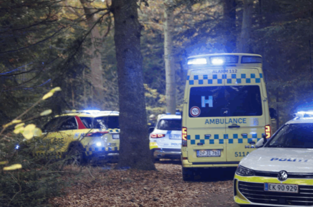 10-årig dreng udsat for 10 anale voldtægter