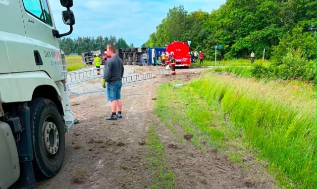 Kæmpe kaos med væltet grisetransport: De løber rundt på stedet
