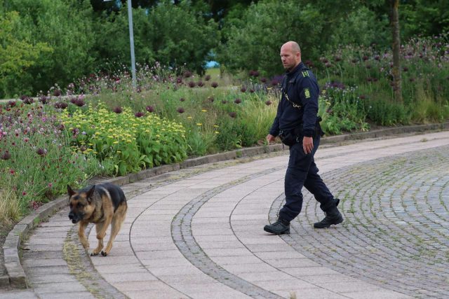 LIGE NU: Politiaktion ved populær turistattraktion