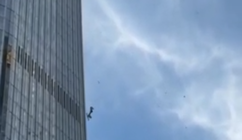 Vanvittig video: Fly brager ind i skyskraber