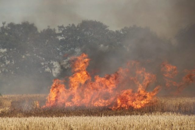 Han var forsvundet i flere dage, men pludselig bliver lig fundet i markbrand