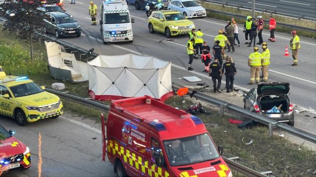 Vanvidsulykke på motorvejen: Hest slynget over autoværn og dræb