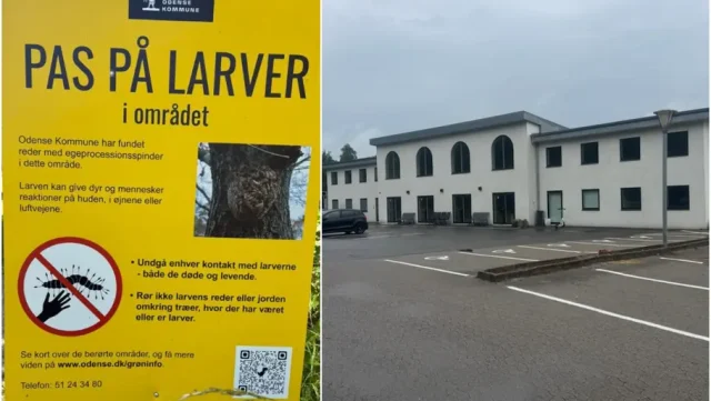 Moské fanget i mareridt: Flere hundrede muslimer ramt