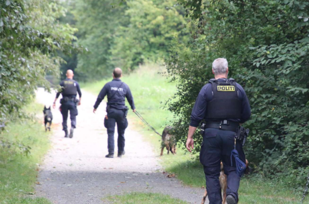 14-årig pige i kløerne på ondskabsfuld gerningsmand: Gennemlever sandt mareridt på grønt areal