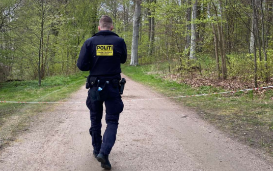 Tre små børn fundet mishandlet: Mor står bag