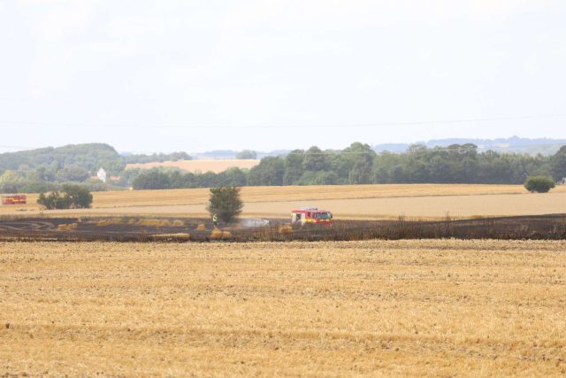 Voldsom markbrand: Brandbiler kører rundt på marken