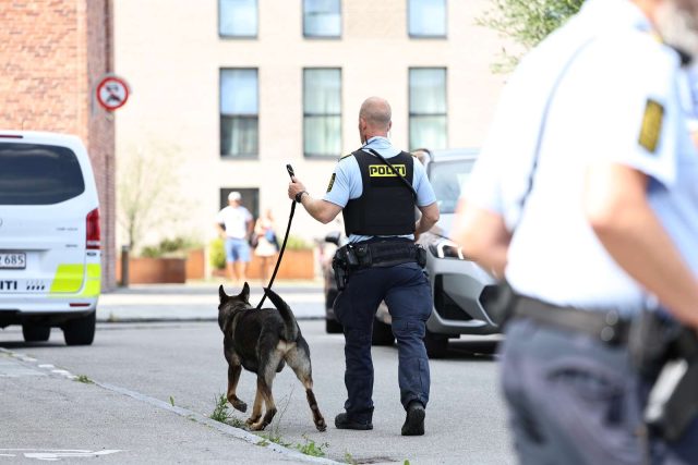 16-årig med opsigtsvækkende melding efter gymnasiedrab