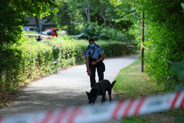 Sindssyge detaljer: Politiet er massivt til stede