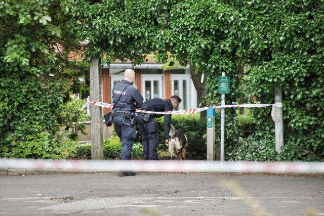 Stor politiaktion: Kvinde udsat for overgreb på åben gade